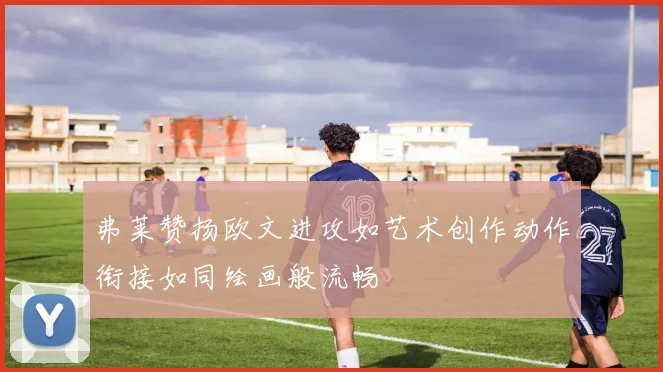 弗莱赞扬欧文进攻如艺术创作动作衔接如同绘画般流畅